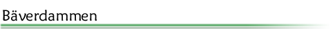 baver.gif (2947 bytes)